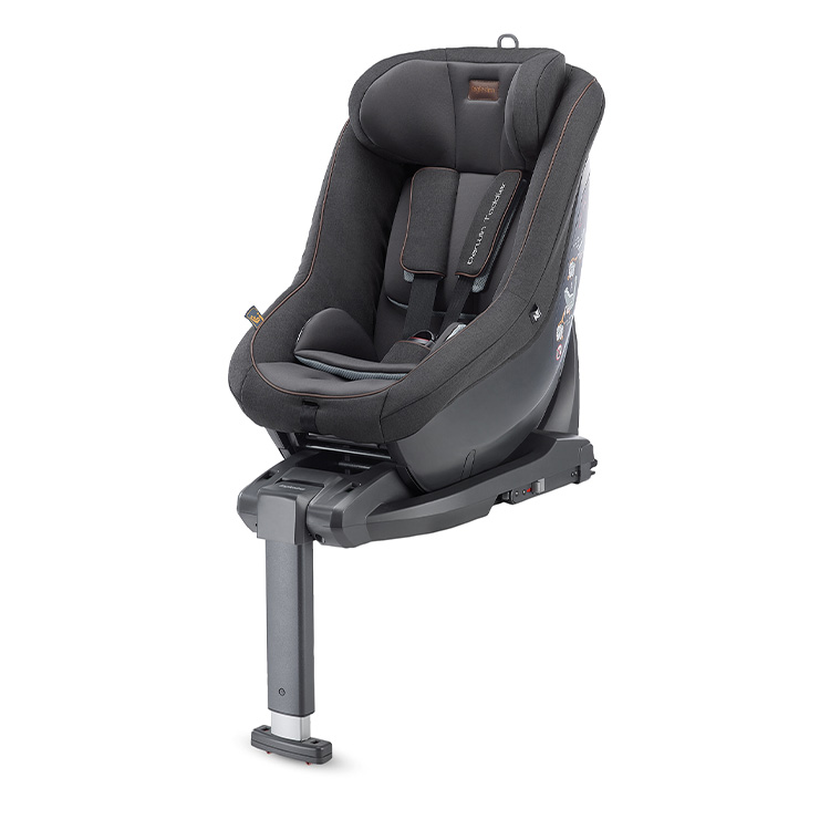 Inglesina infant deals car seat
